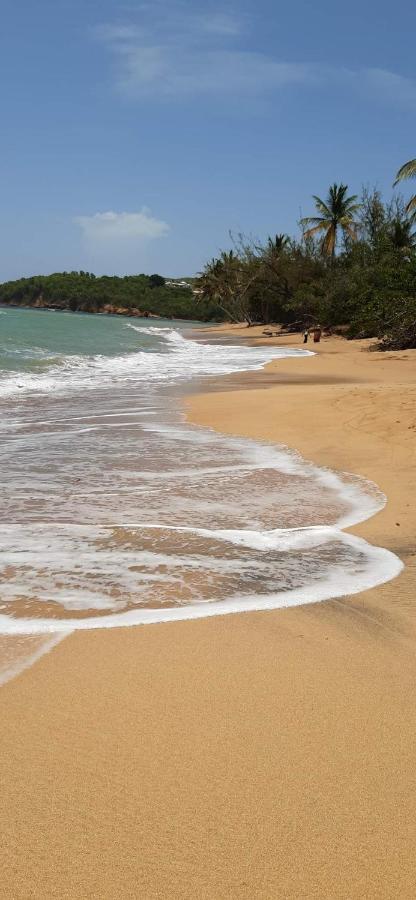 Studio Des Flots - Tartane Martinique La Trinité Kültér fotó