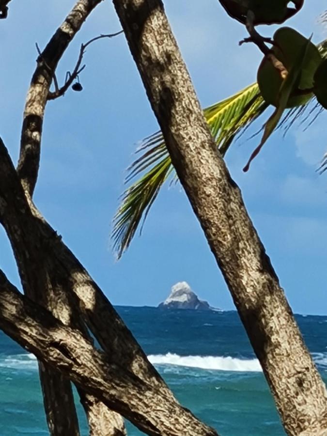 Studio Des Flots - Tartane Martinique La Trinité Kültér fotó