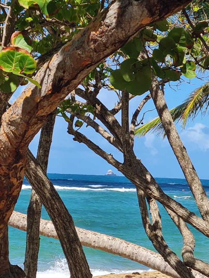 Studio Des Flots - Tartane Martinique La Trinité Kültér fotó